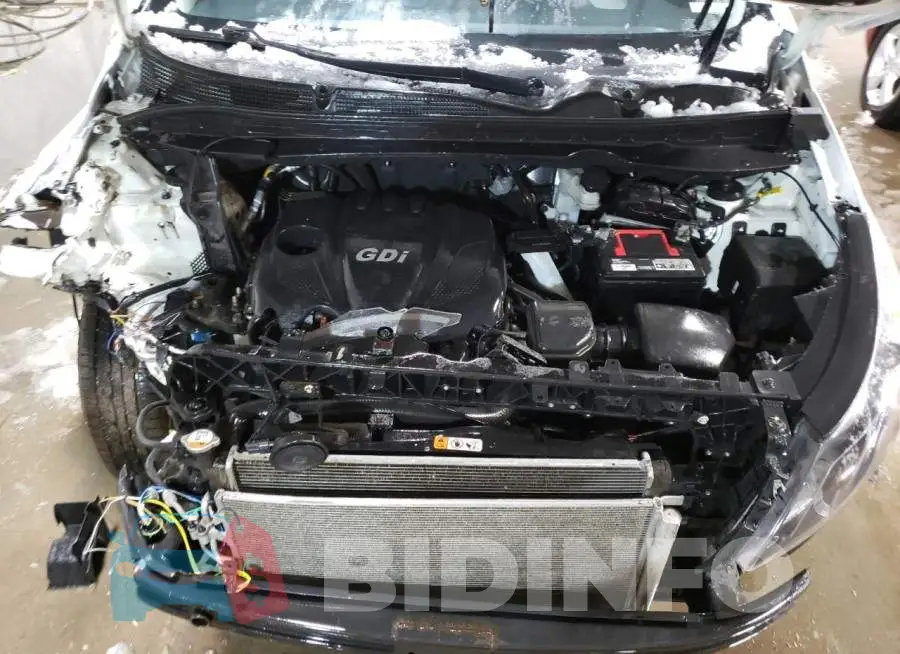 KNDPB3AC5E7641727 Photo# 11