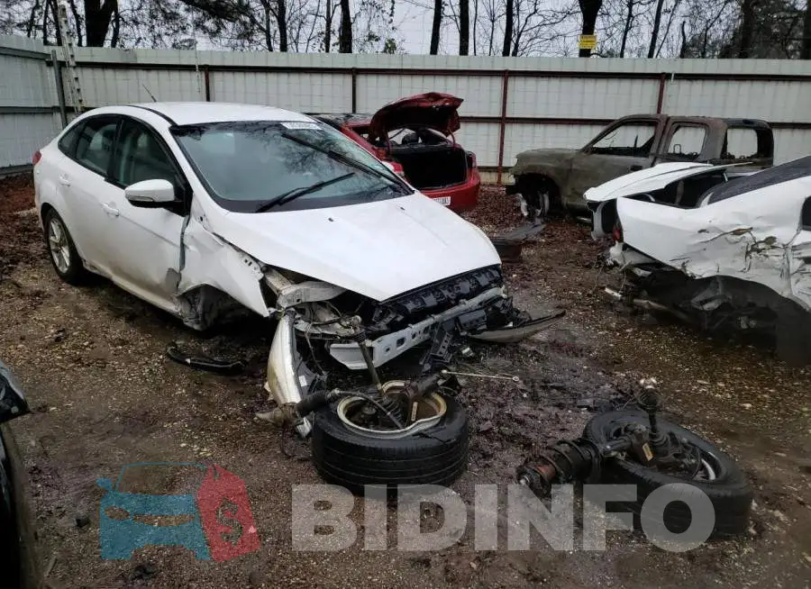 1FADP3F24FL242584 Photo# 4