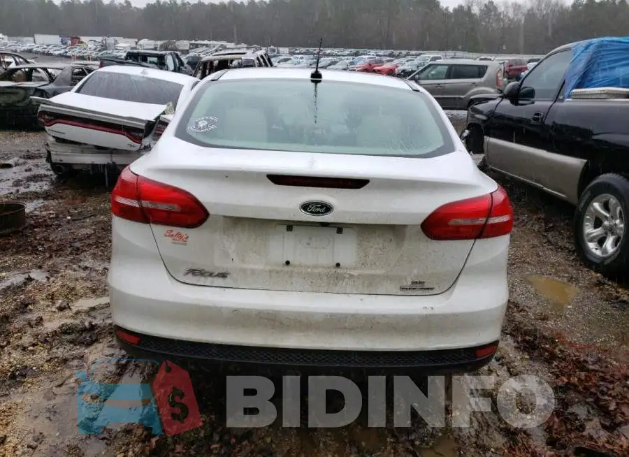 1FADP3F24FL242584 Photo# 6