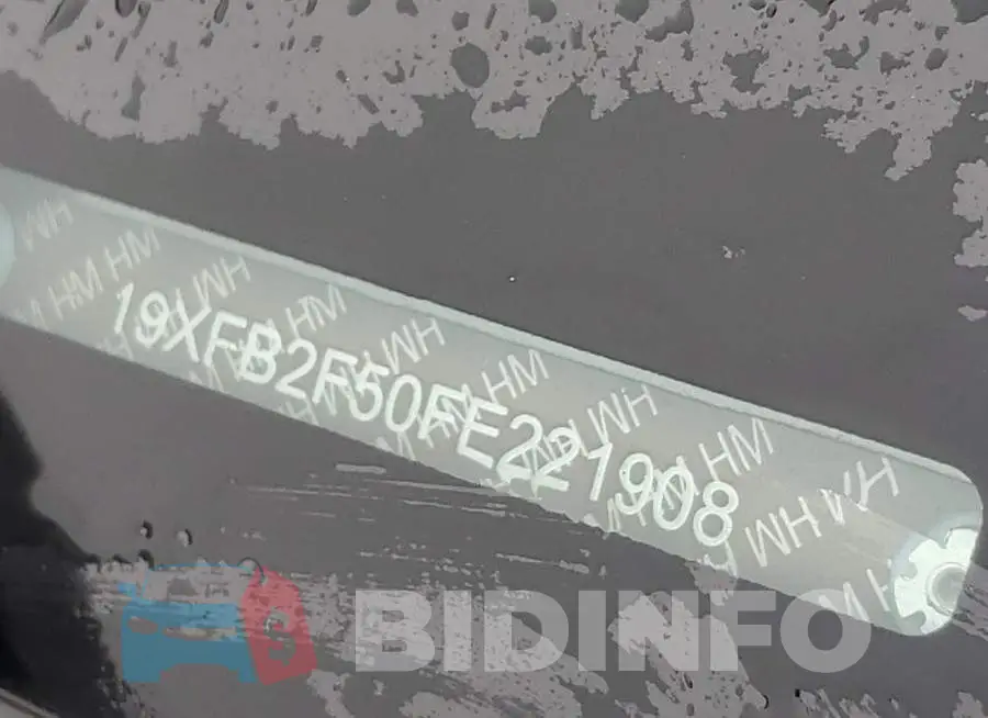 19XFB2F50FE221908 Photo# 12