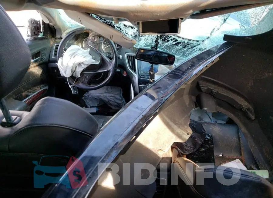 19UUB2F34GA005104 Photo# 8