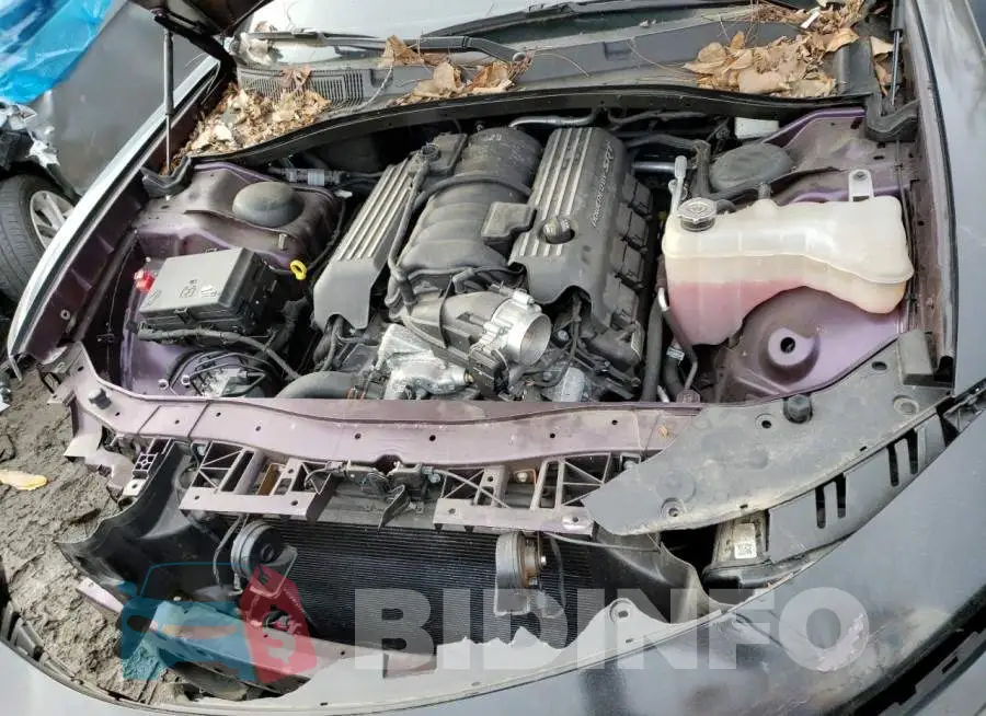 2C3CDXGJ3LH221525 Photo# 11