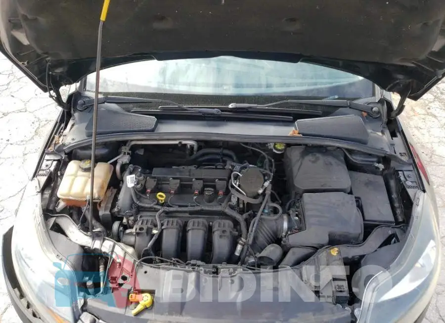 1FADP3F24EL450074 Photo# 7