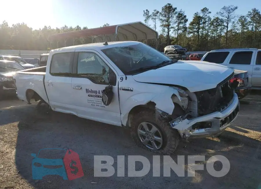 1FTEW1C44LFA51138 Photo# 4