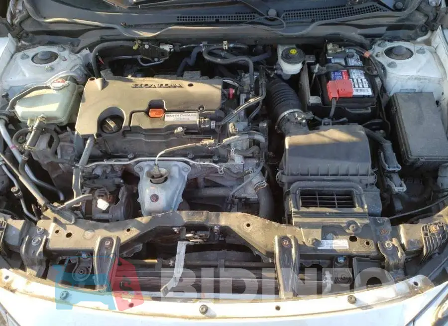 19XFC2F62HE218369 Photo# 11