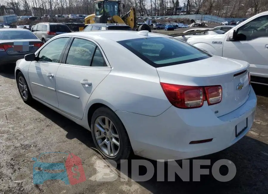 1G11C5SL1FF317672 Photo# 2