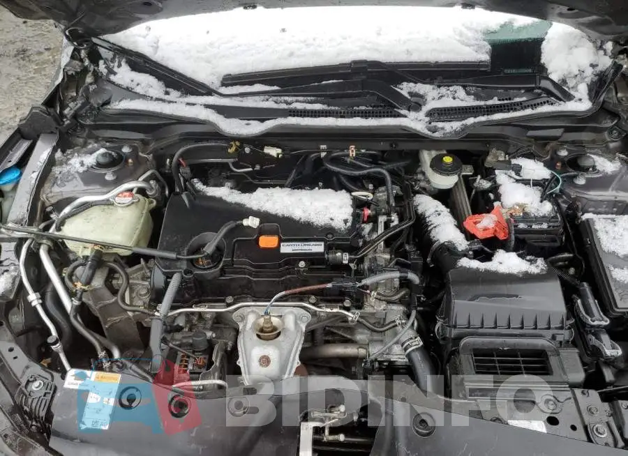 19XFC2F56HE216163 Photo# 11