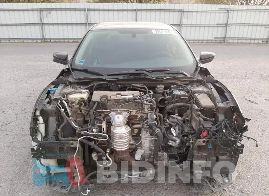 19XFC2F72HE076484 Photo# 5