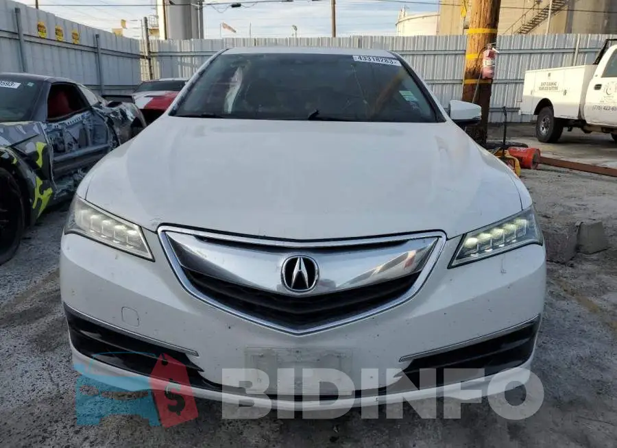 19UUB2F53FA005823 Photo# 5