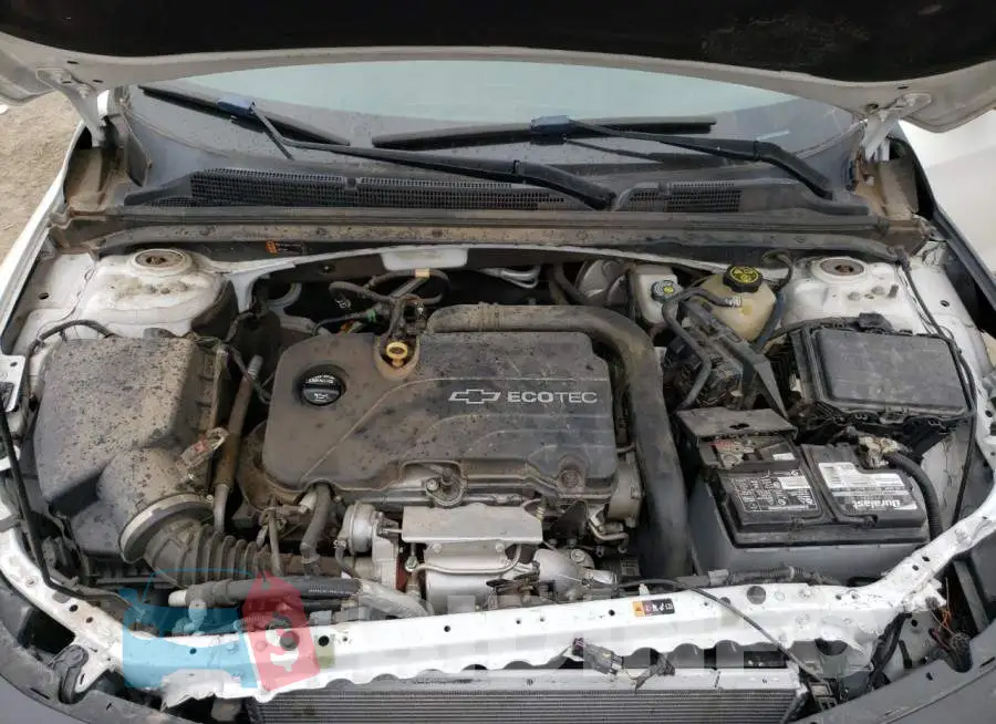 1G1ZD5ST5JF162097 Photo# 11