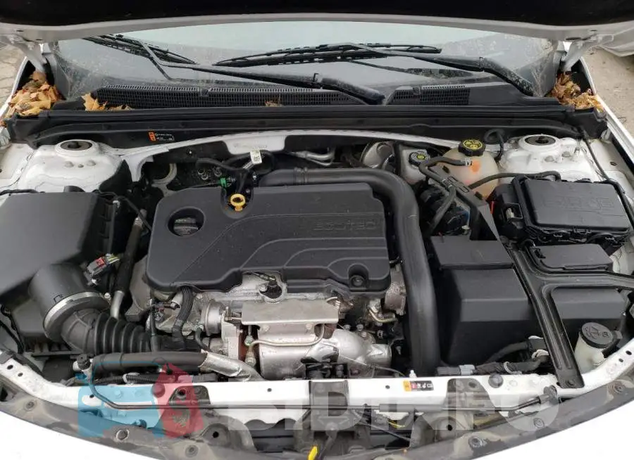 1G1ZD5ST6LF070631 Photo# 11