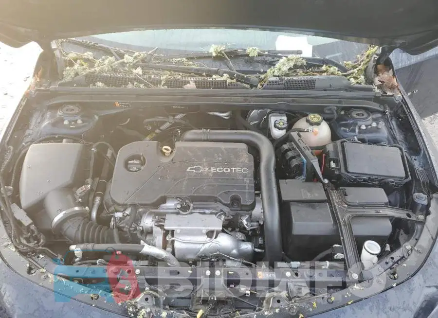 1G1ZE5ST8HF145981 Photo# 11