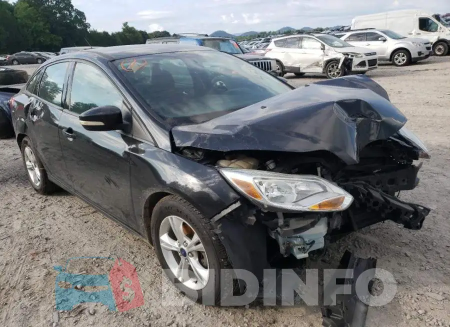 1FADP3F26EL305263 Photo# 9