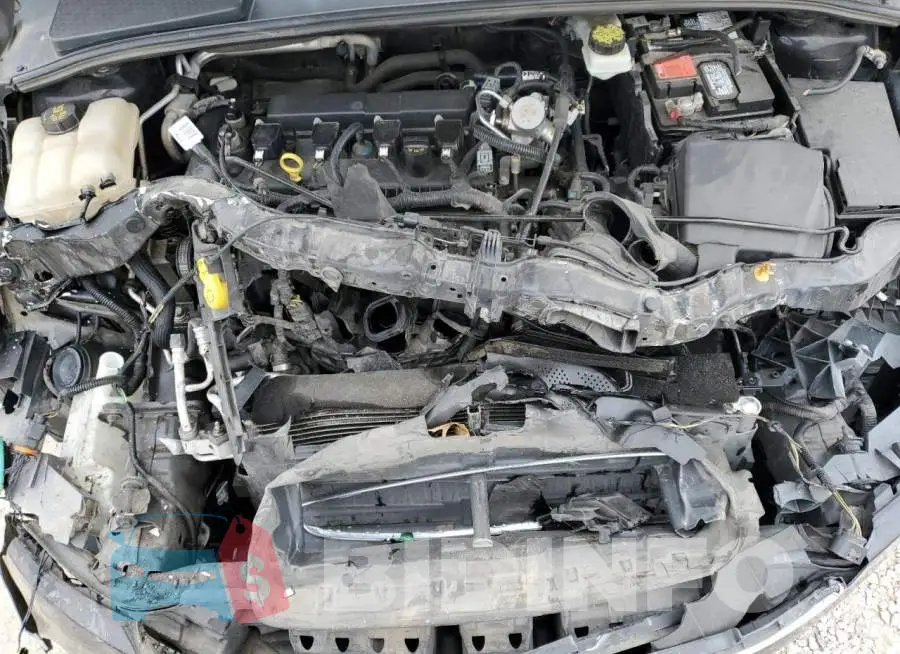 1FADP3N25HL309942 Photo# 11