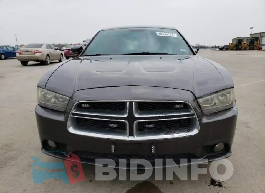 2C3CDXBG1EH113273 Photo# 5