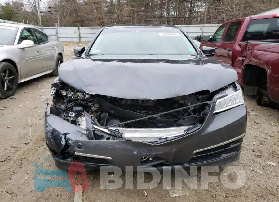 19UUB1F52GA013441 Photo# 5