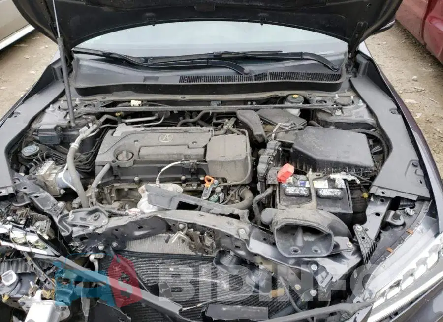 19UUB1F52GA013441 Photo# 11