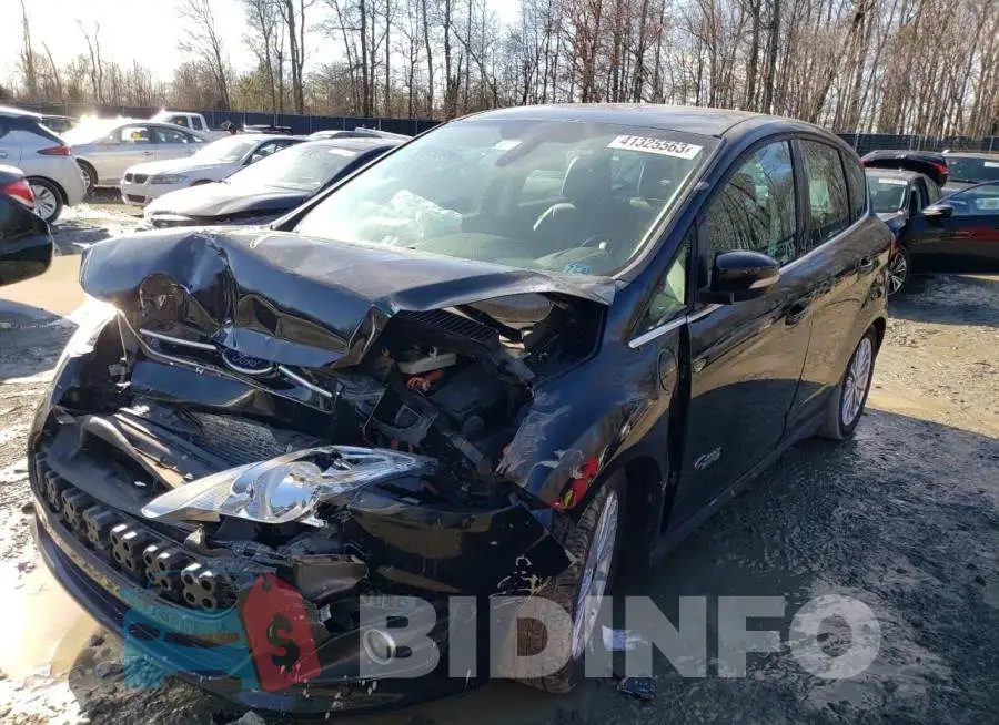 1FADP5CU2GL116016 Photo# 1