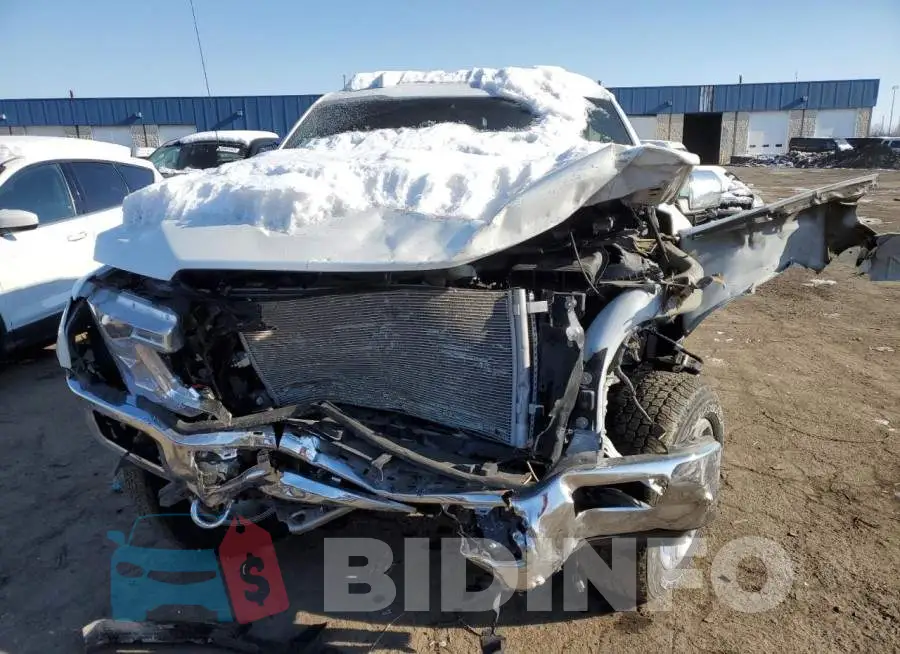 1FTEW1E46LFA93016 Photo# 5