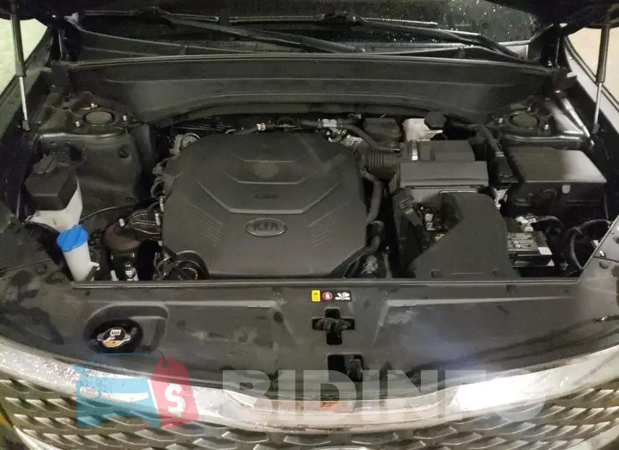 5XYP2DHC5LG070414 Photo# 11