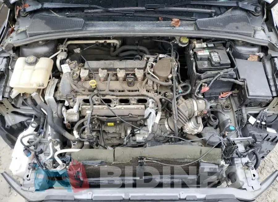 1FADP3F22FL204156 Photo# 11