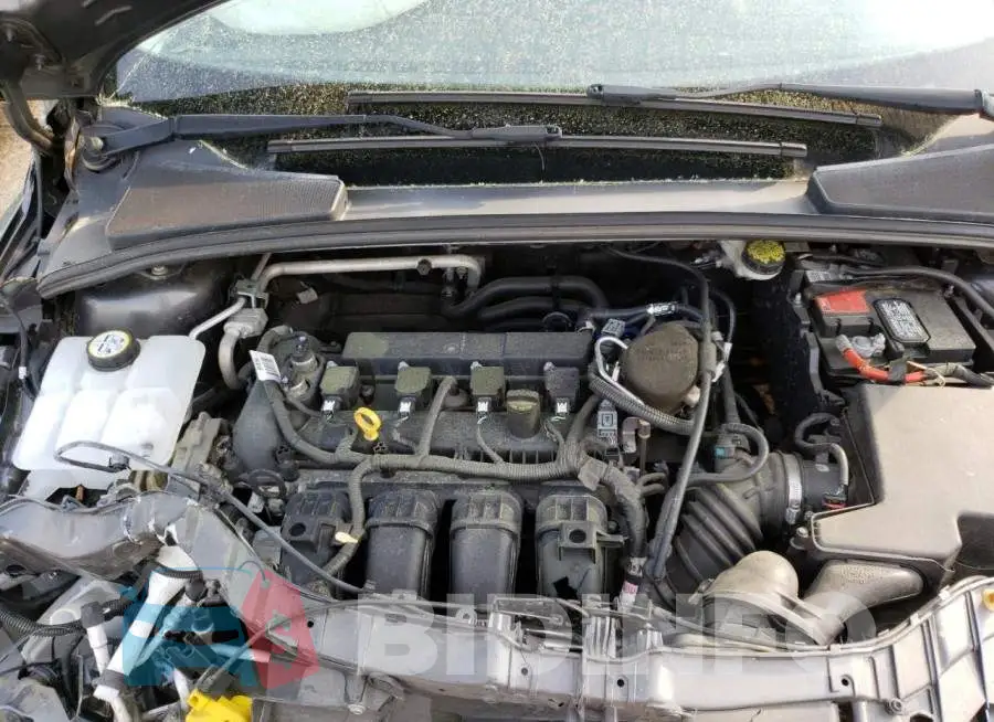 1FADP3K25FL242664 Photo# 12