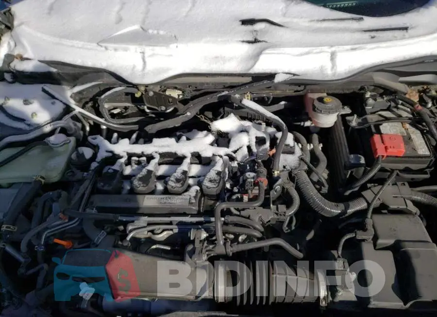 SHHFK7H69KU401569 Photo# 11