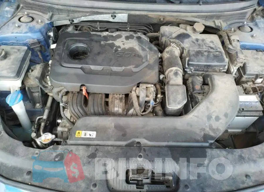 5NPE24AF4HH445558 Photo# 11