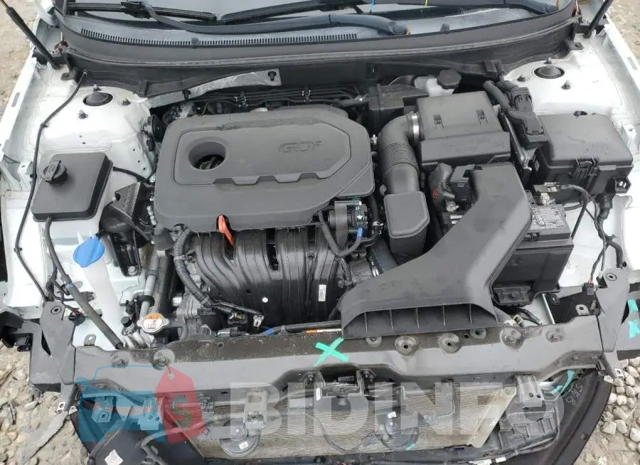 5NPE34AF0KH802013 Photo# 11
