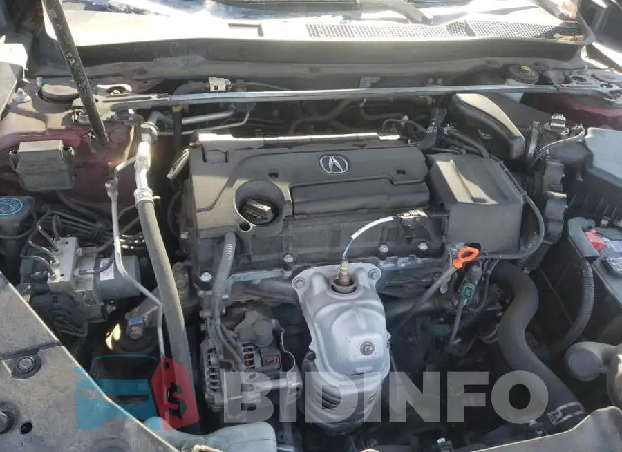 19UUB1F52FA013583 Photo# 11