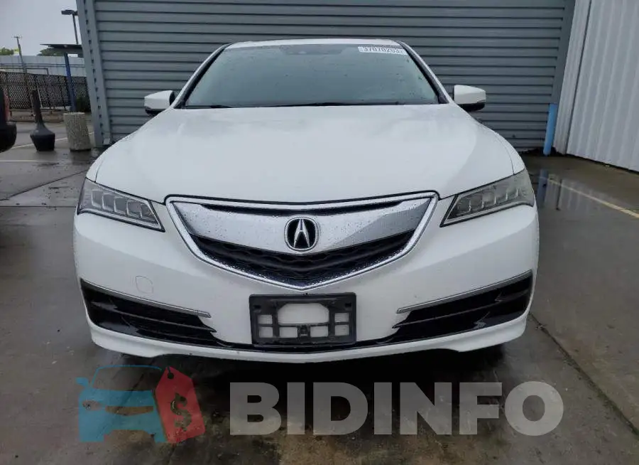 19UUB1F57GA011331 Photo# 5