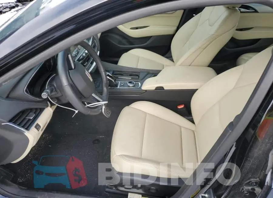 1G6DM5RK6M0134382 Photo# 7