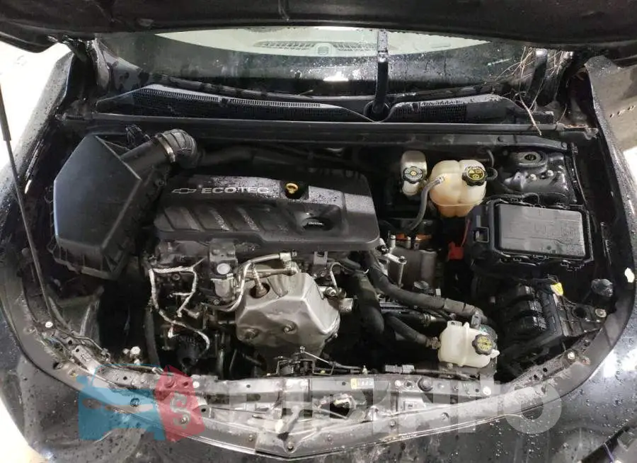 1G1ZJ5SU5HF264222 Photo# 11