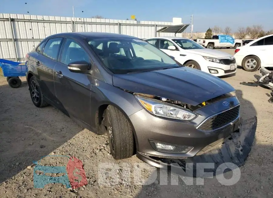 1FADP3F22GL384272 Photo# 4