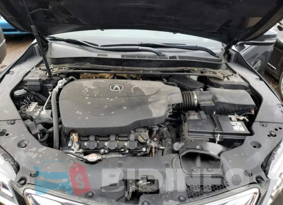 19UUB2F59FA011433 Photo# 11