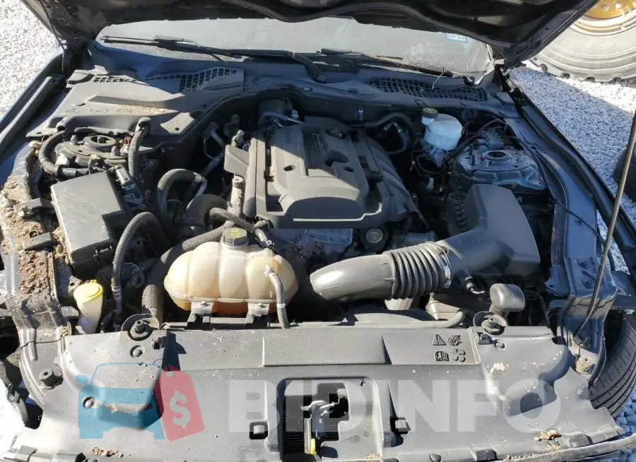 1FA6P8TH3K5201876 Photo# 11