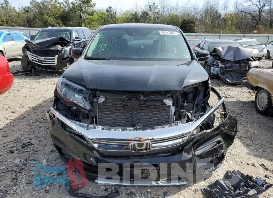 5FNYF6H51LB067362 Photo# 5