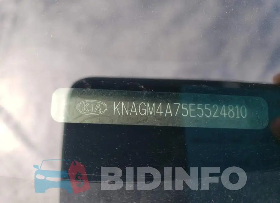 KNAGM4A75E5524810 Photo# 12