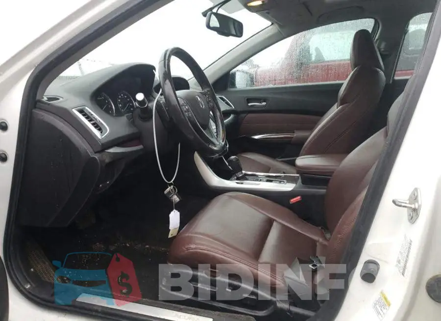 19UUB1F30FA027173 Photo# 7