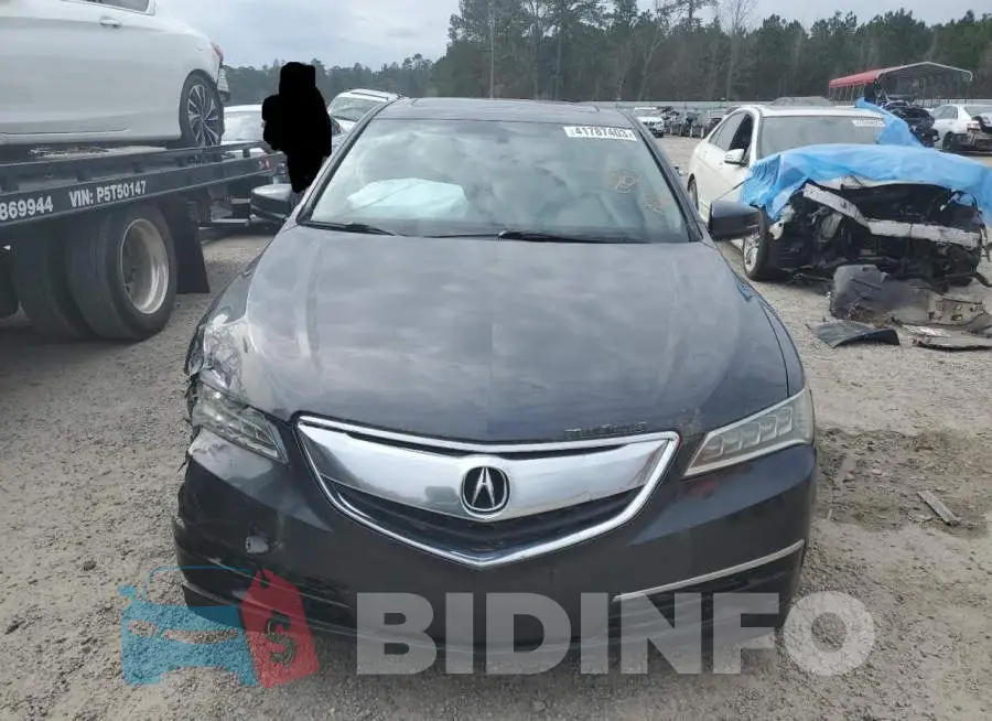19UUB1F36FA022544 Photo# 5