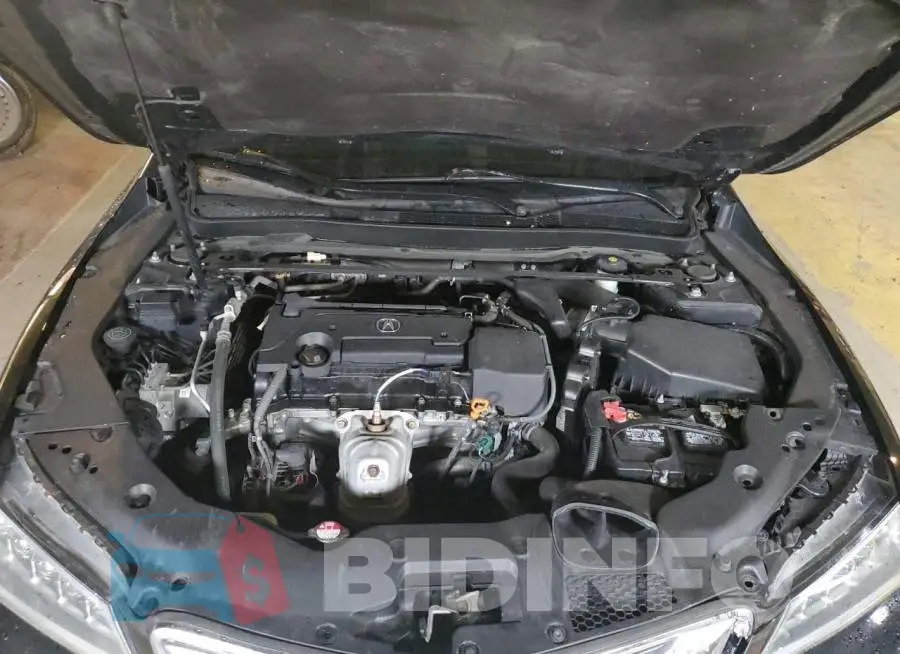 19UUB1F38FA018673 Photo# 11