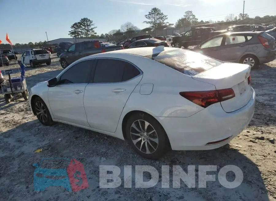 19UUB1F52GA010491 Photo# 2