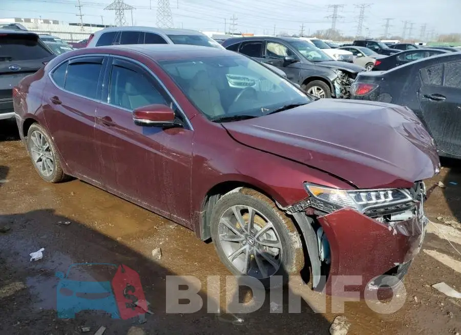 19UUB2F53FA024808 Photo# 4