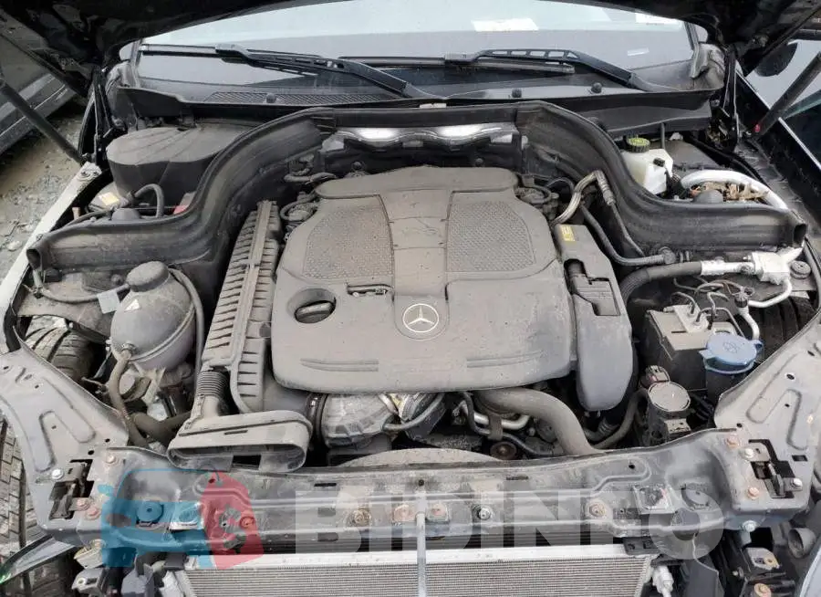 WDCGG8JB9FG342873 Photo# 11