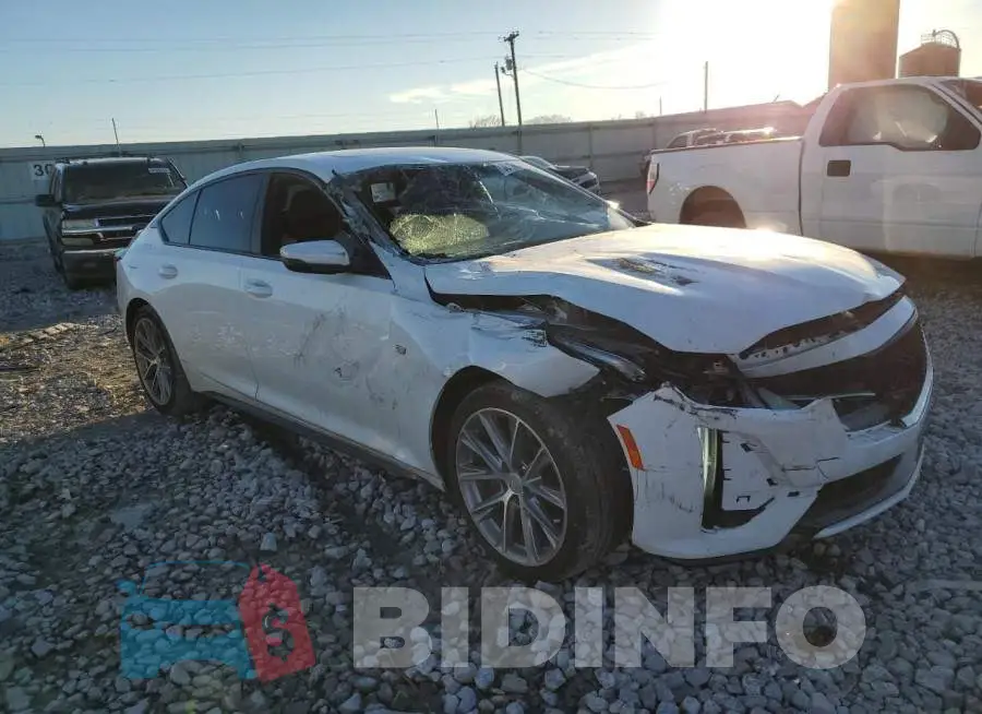 1G6DP5RK8L0149150 Photo# 4