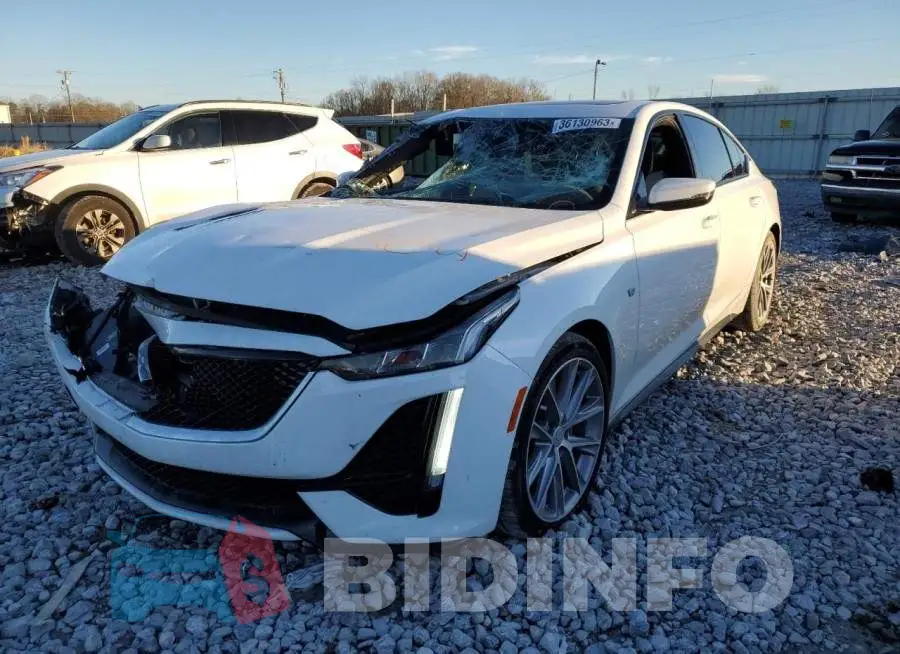 1G6DP5RK8L0149150 Photo# 1
