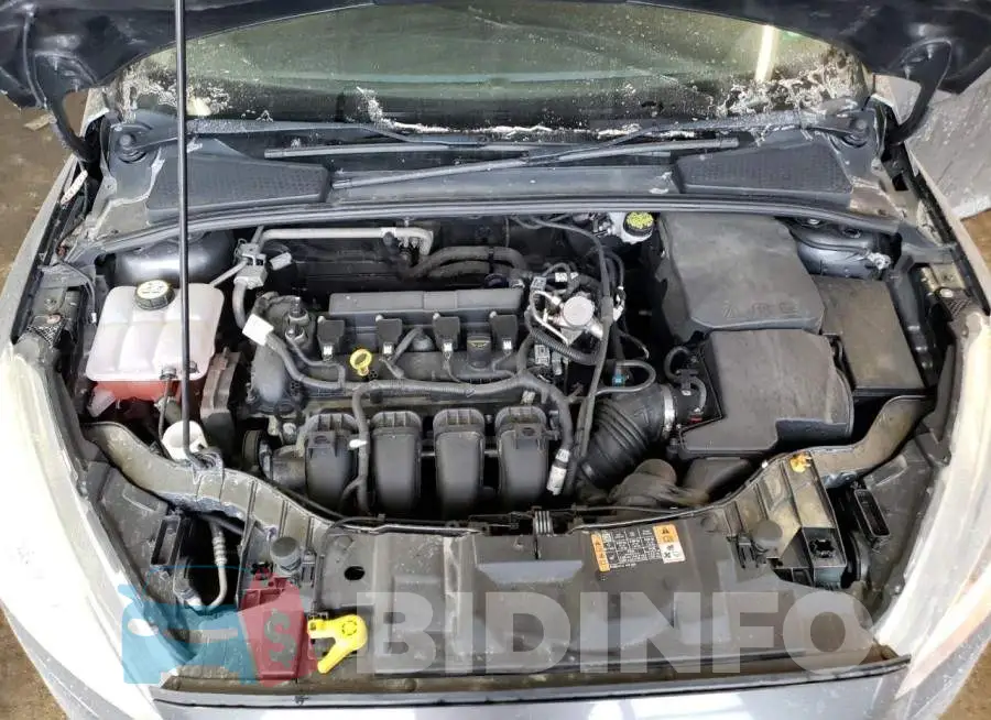 1FADP3F29GL404985 Photo# 11