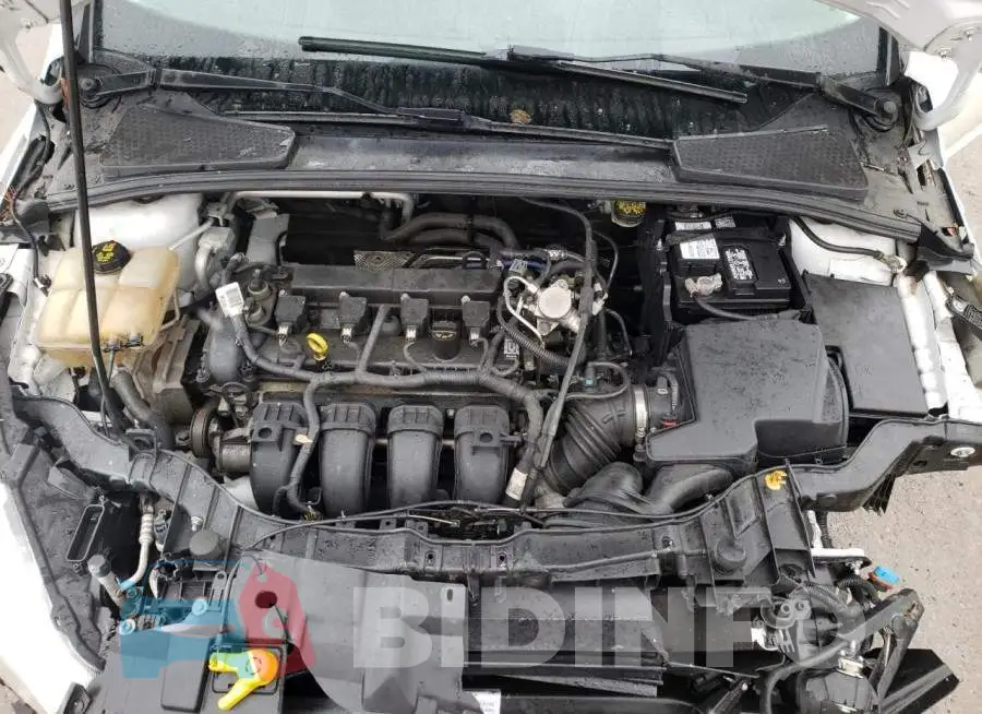 1FADP3F2XGL401416 Photo# 11