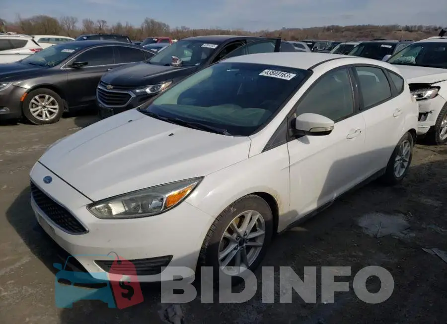 1FADP3K25FL249467 Photo# 1