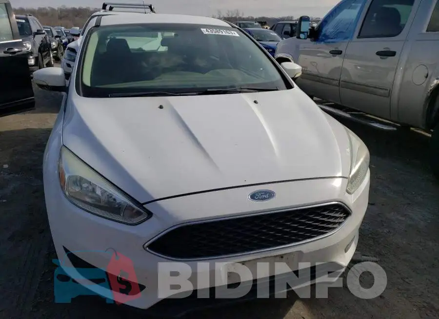 1FADP3K25FL249467 Photo# 5